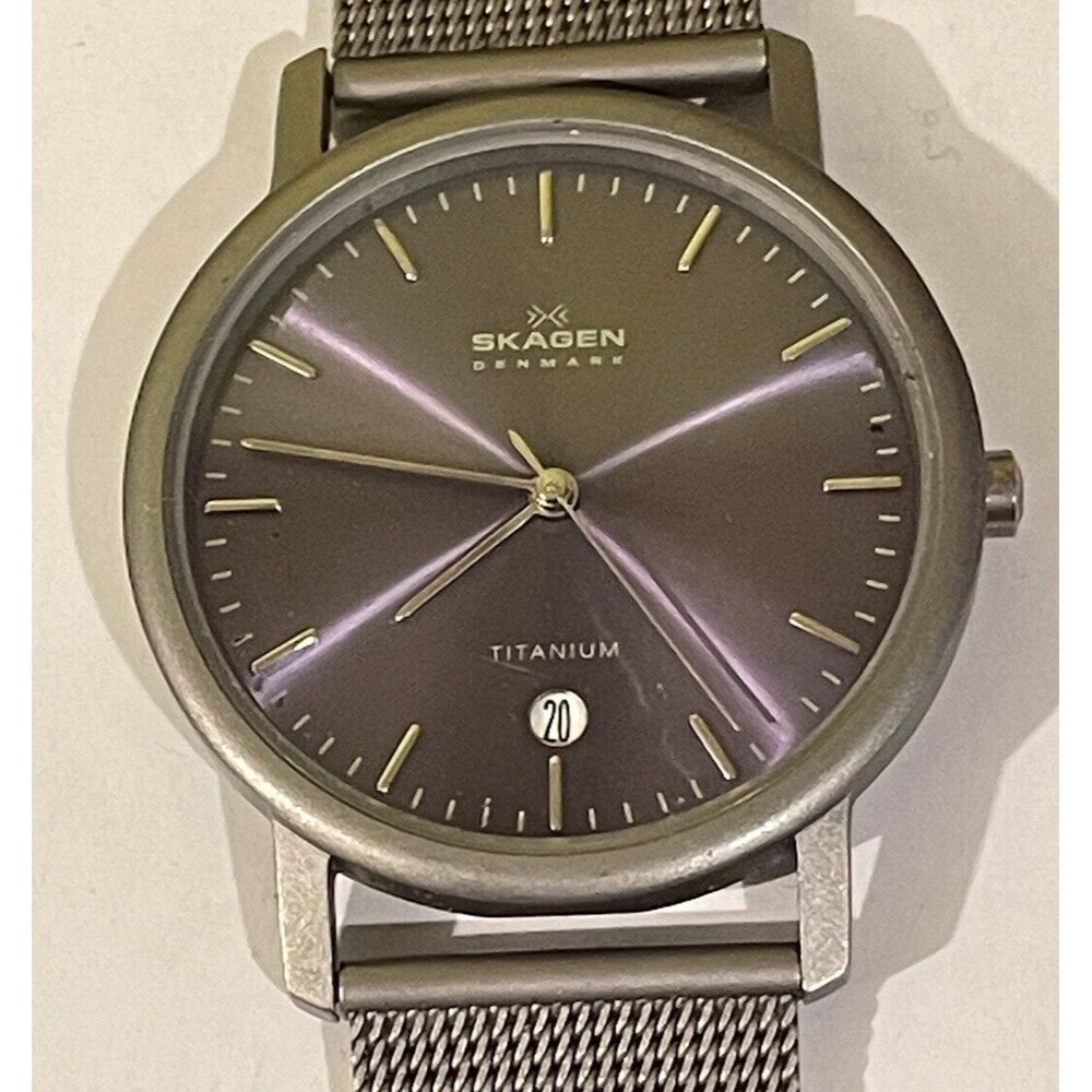 Skagen Titanium Unisex Watch